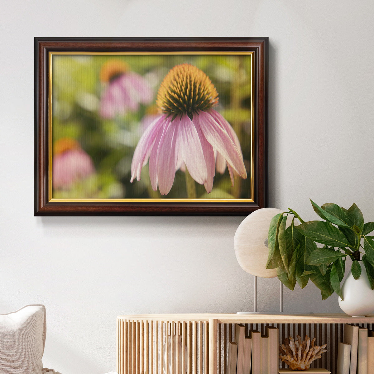 Echinacea Study I Premium Framed Canvas- Ready to Hang