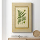 Fern with Crackle Mat (H) IV Premium Gallery Wrapped Canvas - Ready to Hang