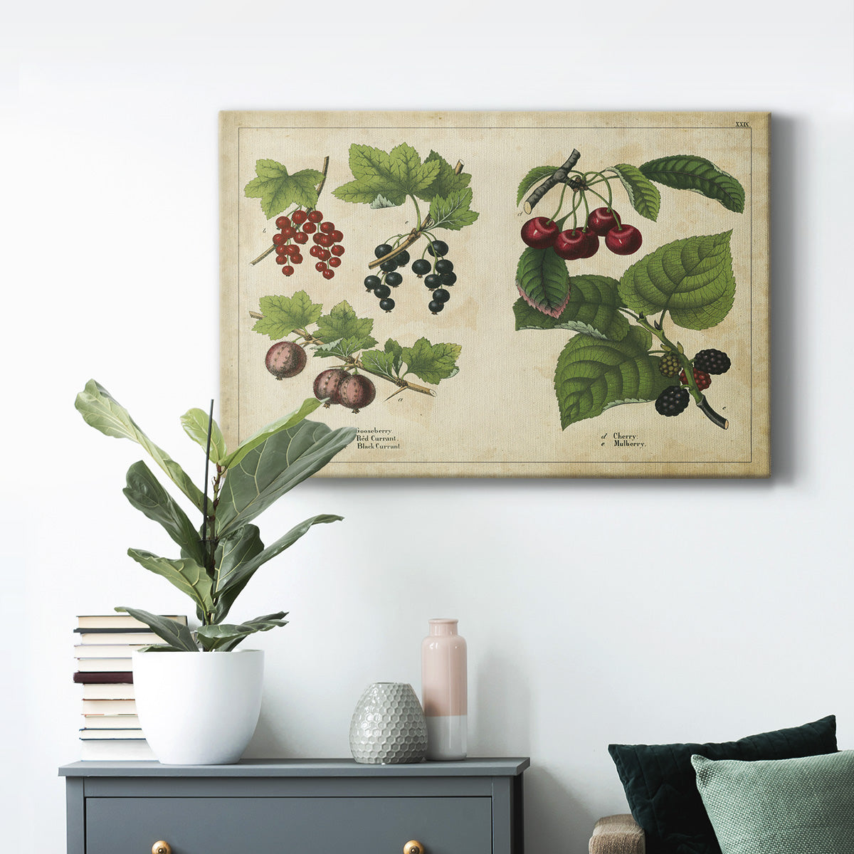 Kitchen Fruits III Premium Gallery Wrapped Canvas - Ready to Hang