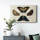 Crackled Butterflies IV - Canvas Art Print