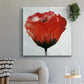 Red Drops IX - Canvas Art Print