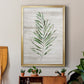 Tropic Frond II - Modern Framed Canvas Print