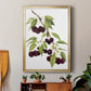 Watercolor Cherries - Modern Framed Canvas Print