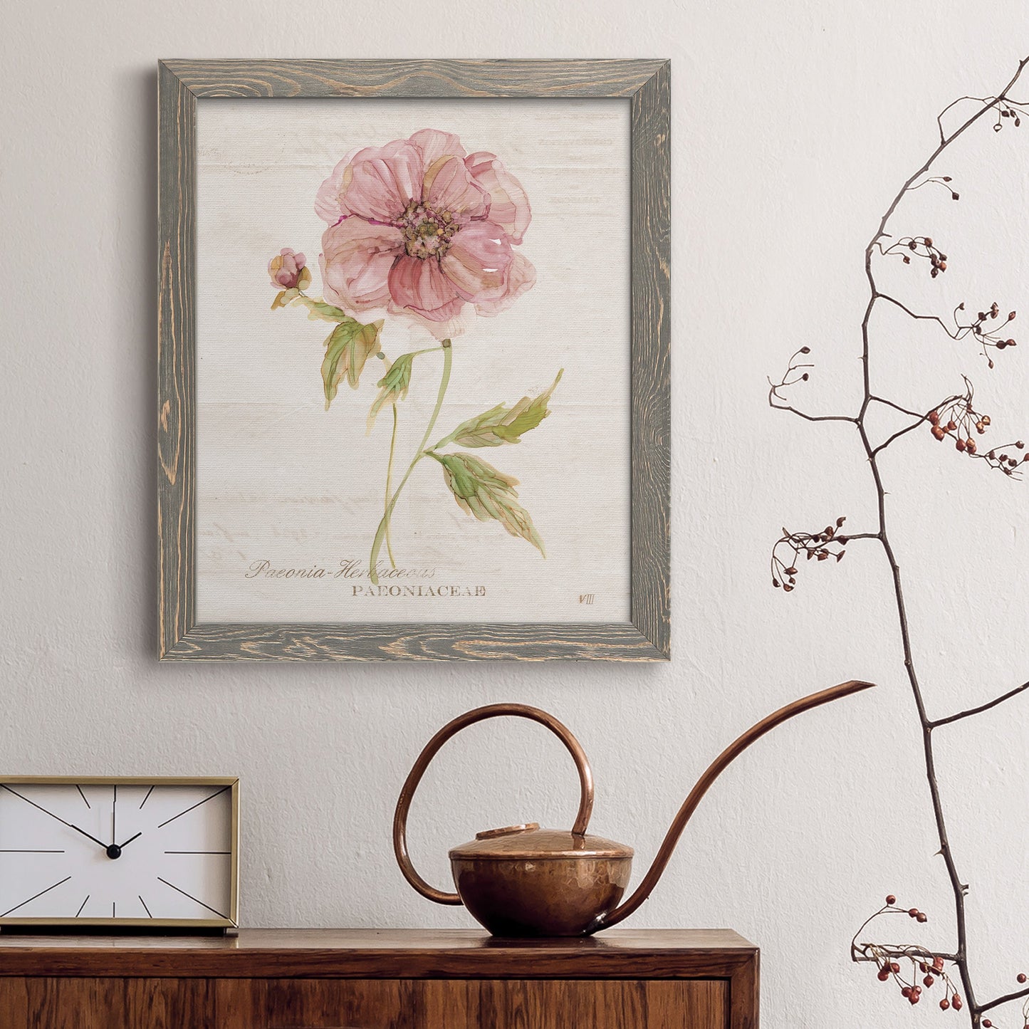 Soft Peony - Premium Canvas Framed in Barnwood - Ready to Hang