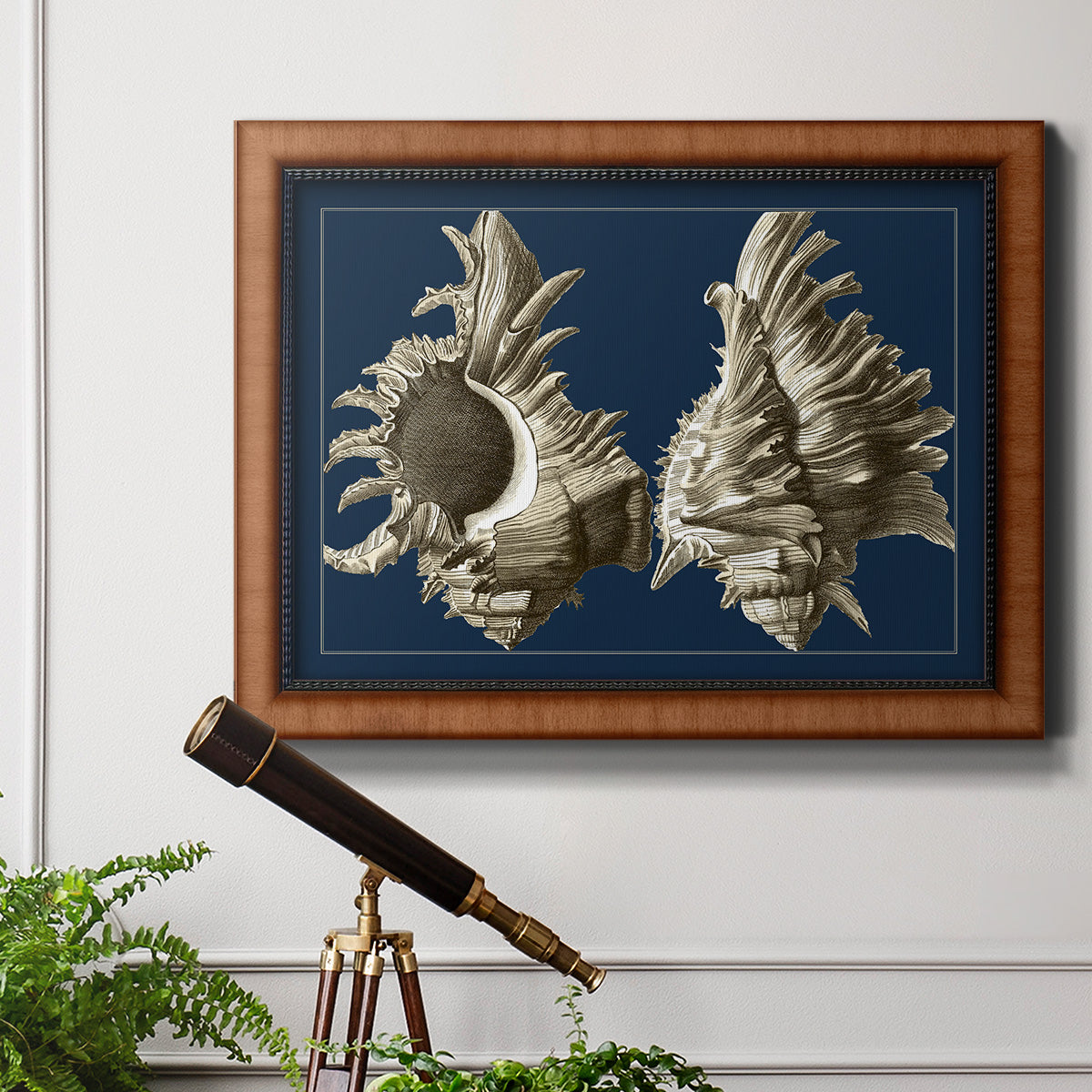 Conch Shells on Navy II Premium Framed Canvas- Ready to Hang