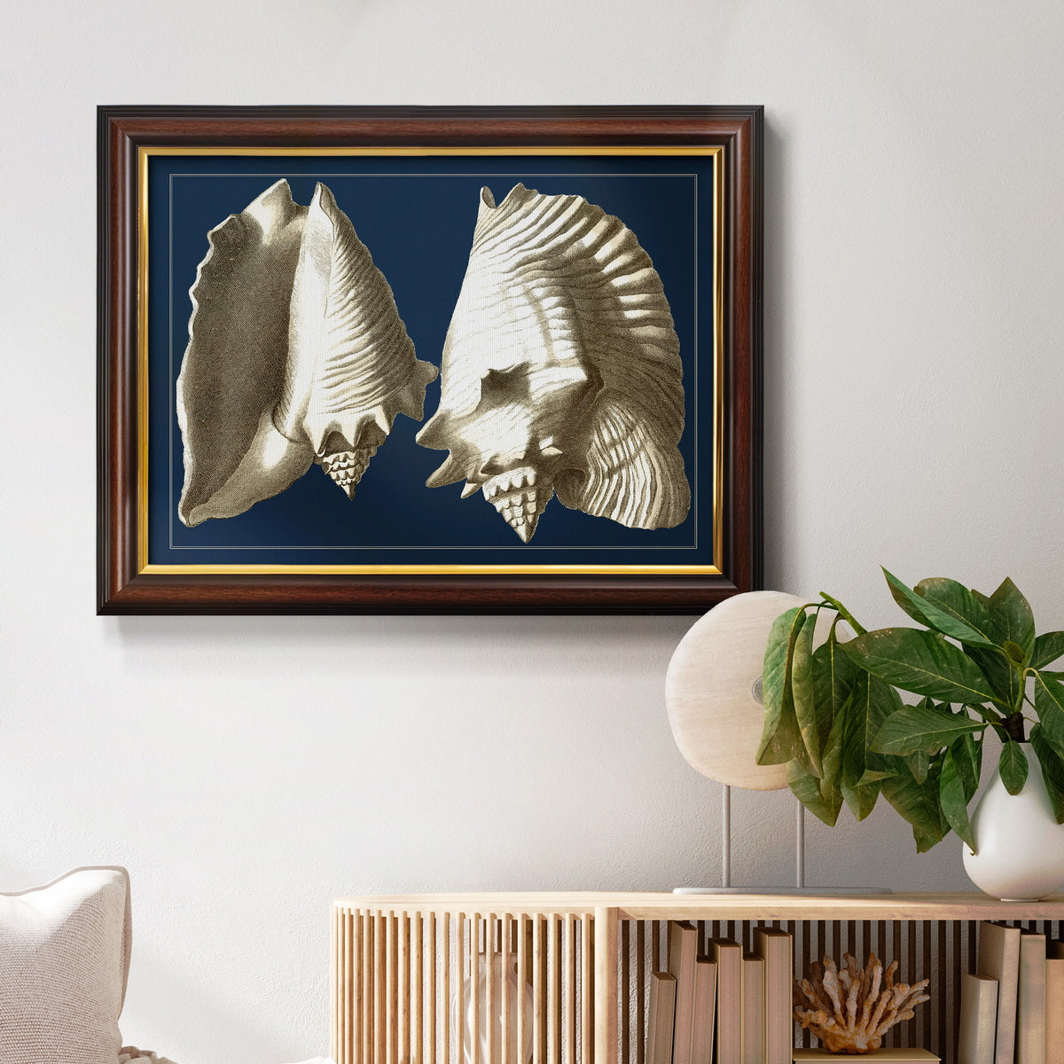 Conch Shells on Navy I Premium Framed Canvas- Ready to Hang