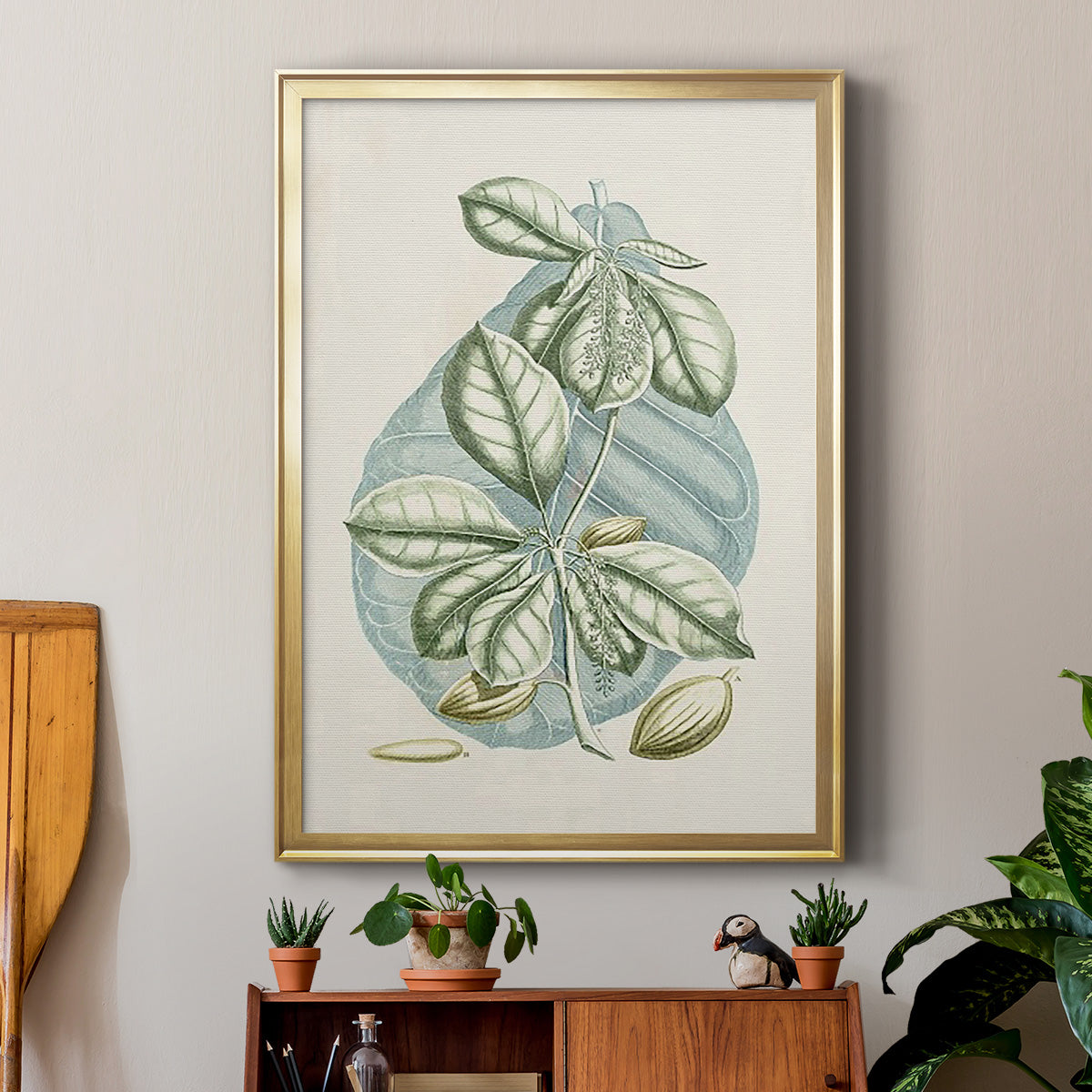 Buchoz Tropicals VI - Modern Framed Canvas Print