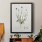 Bellflower Study - Modern Framed Canvas Print