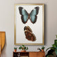 Antique Blue Butterflies IV - Modern Framed Canvas Print