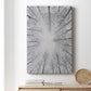 Deciduous Canopy I - Canvas Art Print