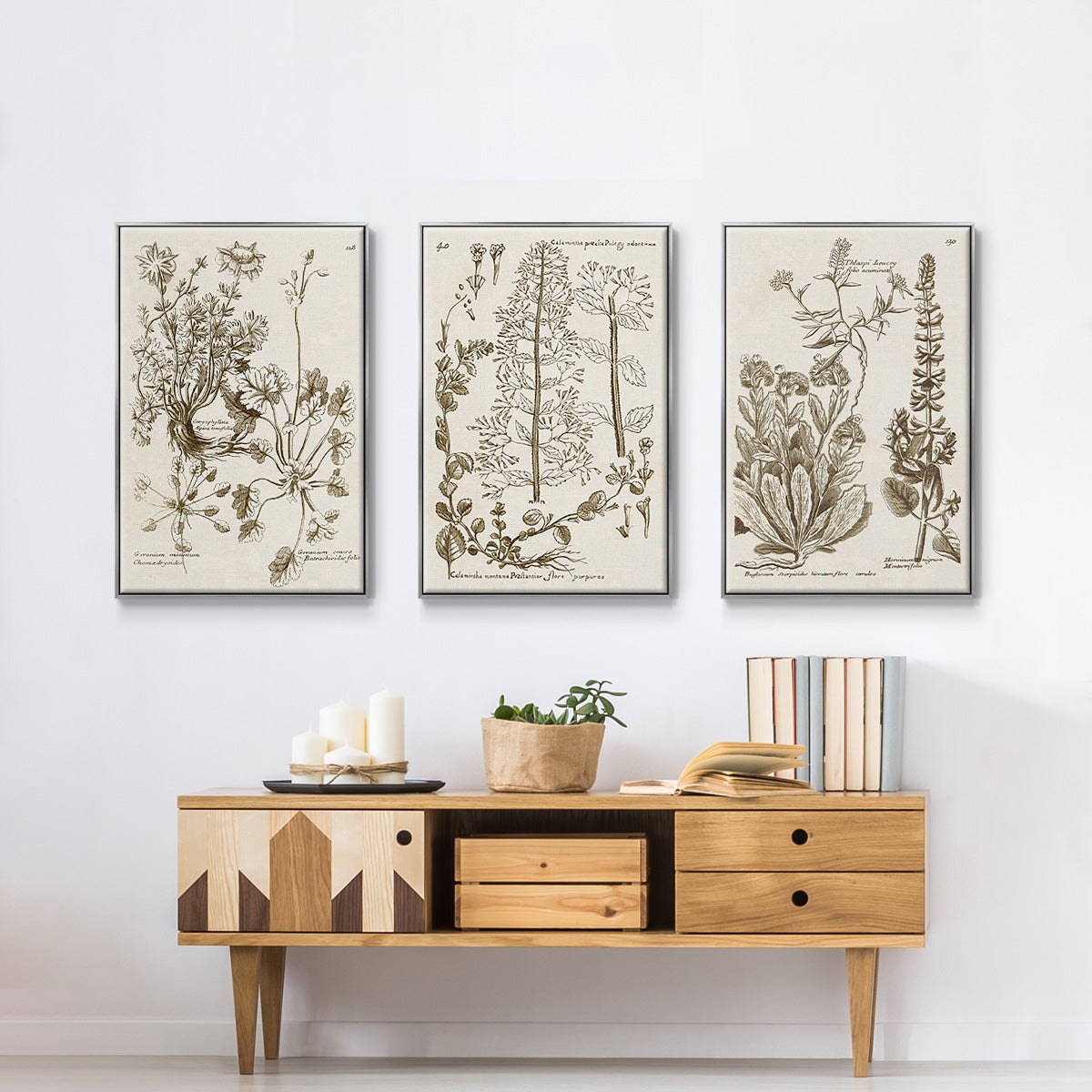 Sepia Botanical Journal IV - Framed Premium Gallery Wrapped Canvas L Frame 3 Piece Set - Ready to Hang