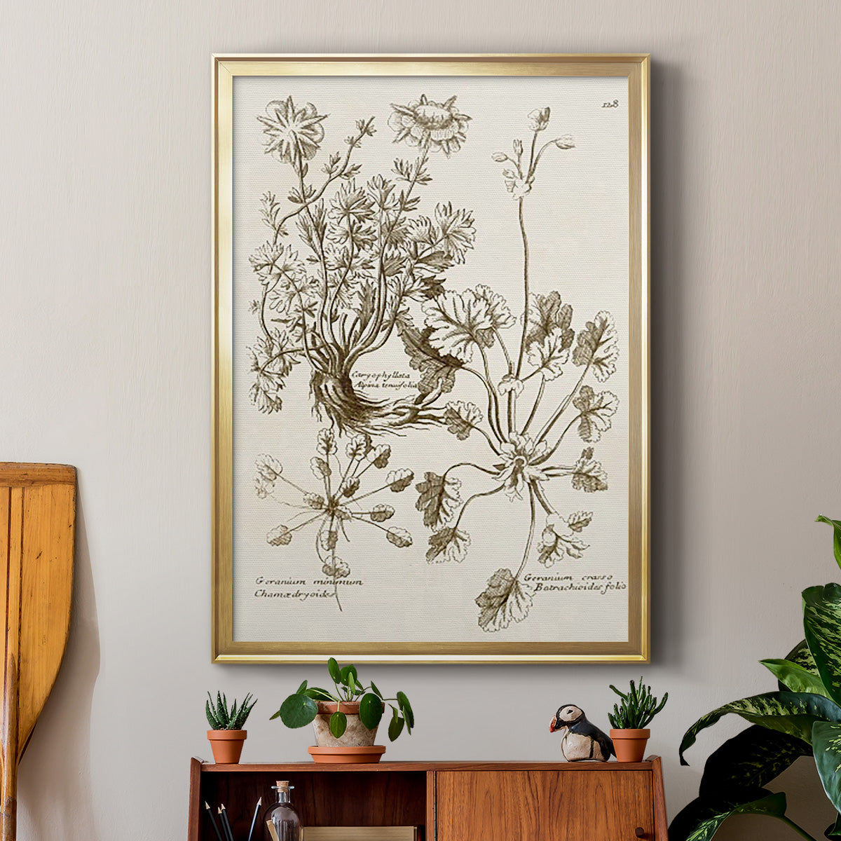 Sepia Botanical Journal IX - Modern Framed Canvas Print