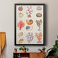 Coral & Shell Collage I -  Framed Canvas Print