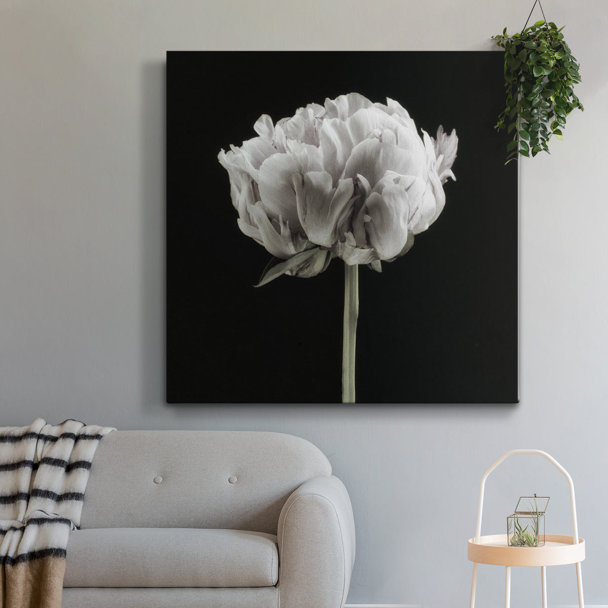 Blush Peony Portrait II -Premium Gallery Wrapped Canvas - Ready to Hang