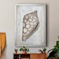 Ocean Cone I - Modern Framed Canvas Print