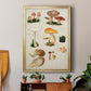 Mushroom Species IV - Modern Framed Canvas Print