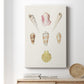 Pastel Knorr Shells I Premium Gallery Wrapped Canvas - Ready to Hang