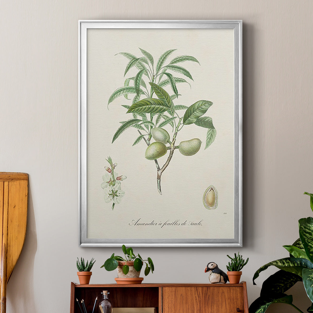 Antique Almond Botanical II - Modern Framed Canvas Print