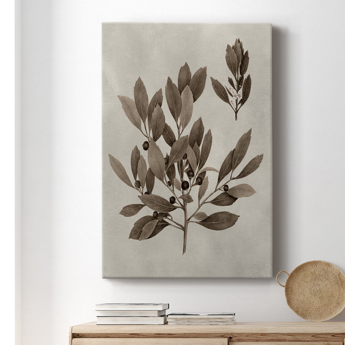 Arbor Specimen IV Premium Gallery Wrapped Canvas - Ready to Hang