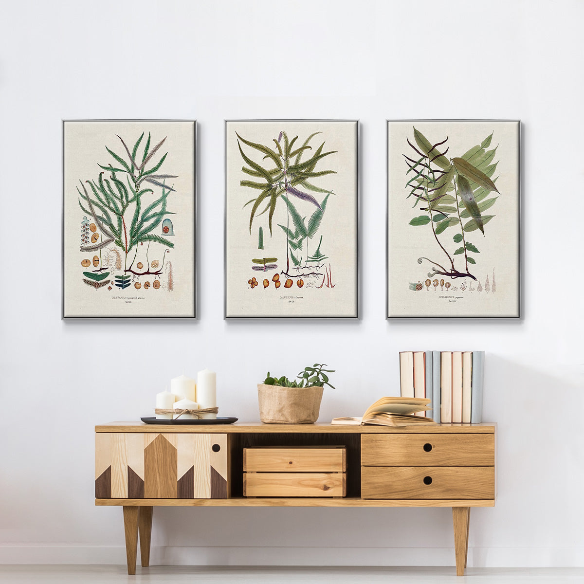 Botanical Society Ferns VI - Framed Premium Gallery Wrapped Canvas L Frame 3 Piece Set - Ready to Hang