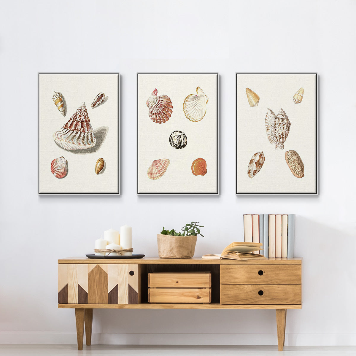 Pastel Knorr Shells VI - Framed Premium Gallery Wrapped Canvas L Frame 3 Piece Set - Ready to Hang