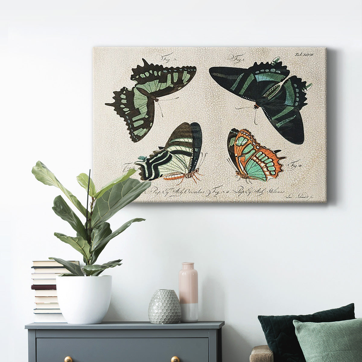 Crackled Butterflies III - Canvas Art Print