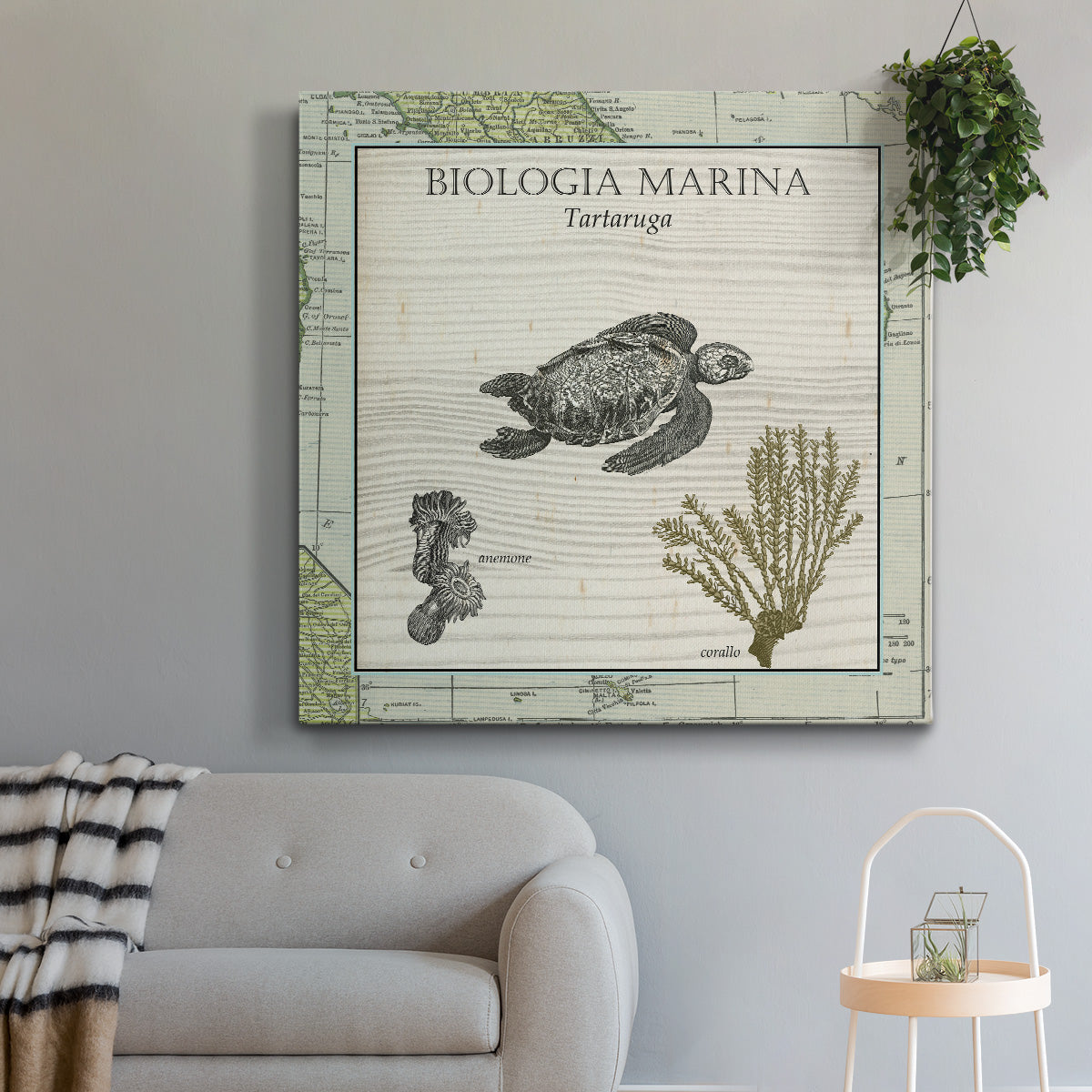 Biologia Marina IV - Canvas Art Print