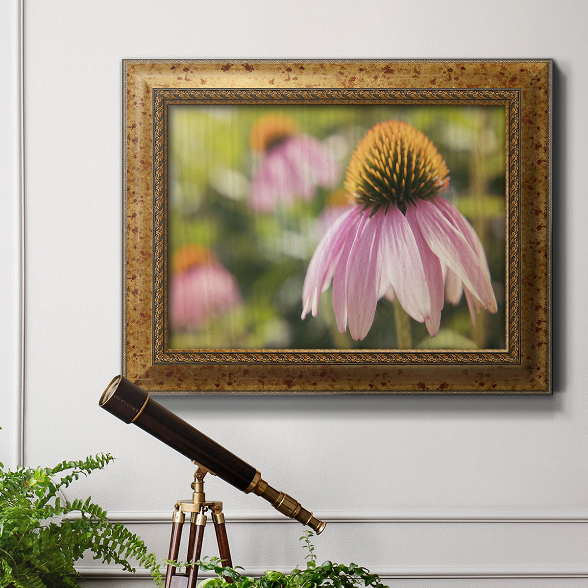 Echinacea Study I Premium Framed Canvas- Ready to Hang