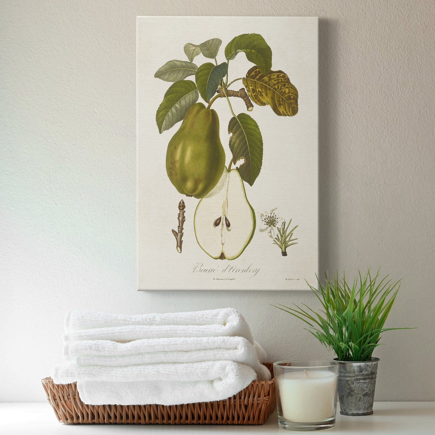 Vintage Pears IV Premium Gallery Wrapped Canvas - Ready to Hang