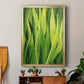 Blades of Grass II - Modern Framed Canvas Print