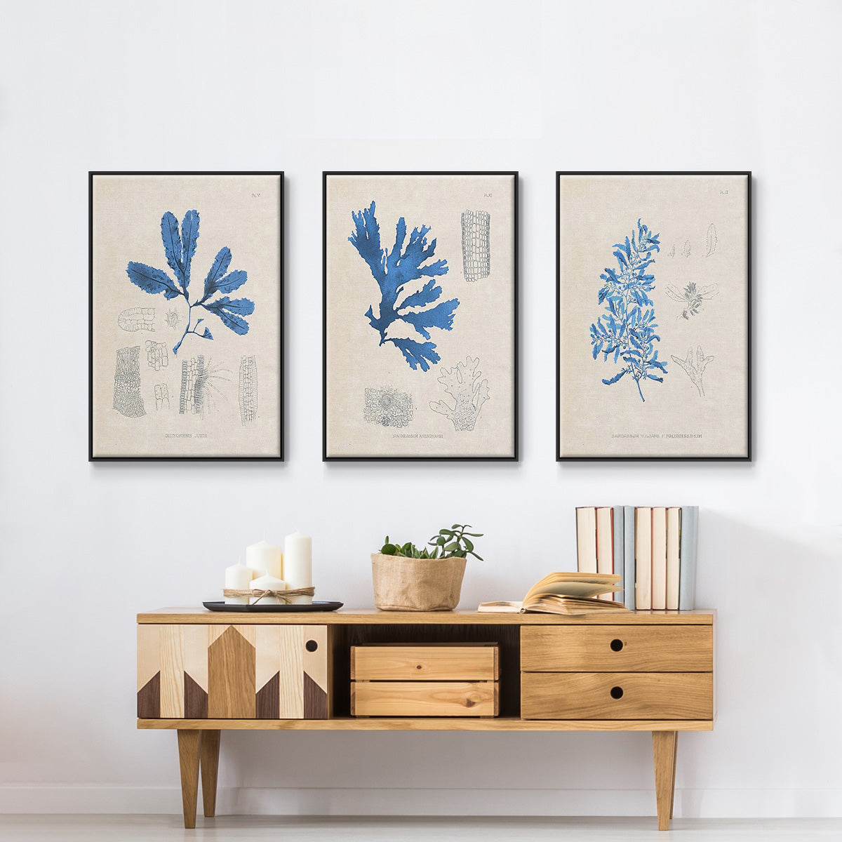 Blue Marine Algae VI - Framed Premium Gallery Wrapped Canvas L Frame 3 Piece Set - Ready to Hang