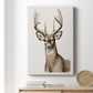 Handsome Whitetail I - Canvas Art Print