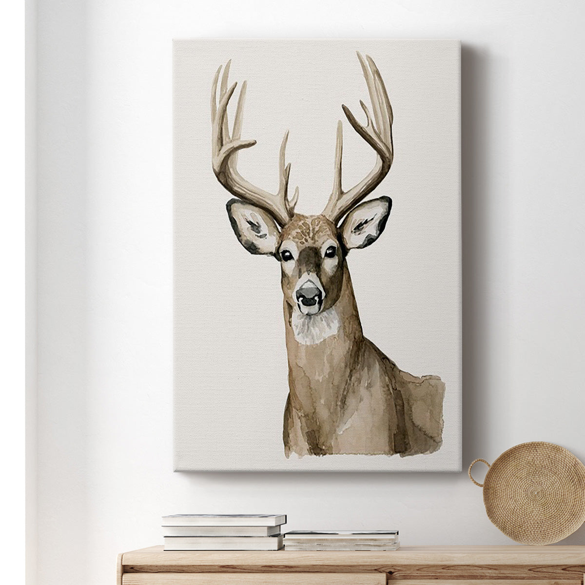 Handsome Whitetail I - Canvas Art Print