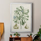 Buchoz Tropicals IX - Modern Framed Canvas Print