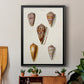 Cone Shell Collection VI - Modern Framed Canvas Print