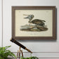 Audubons Brown Pelican - Ornate Framed Canvas Print