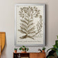 Sepia Botanical Journal I - Modern Framed Canvas Print