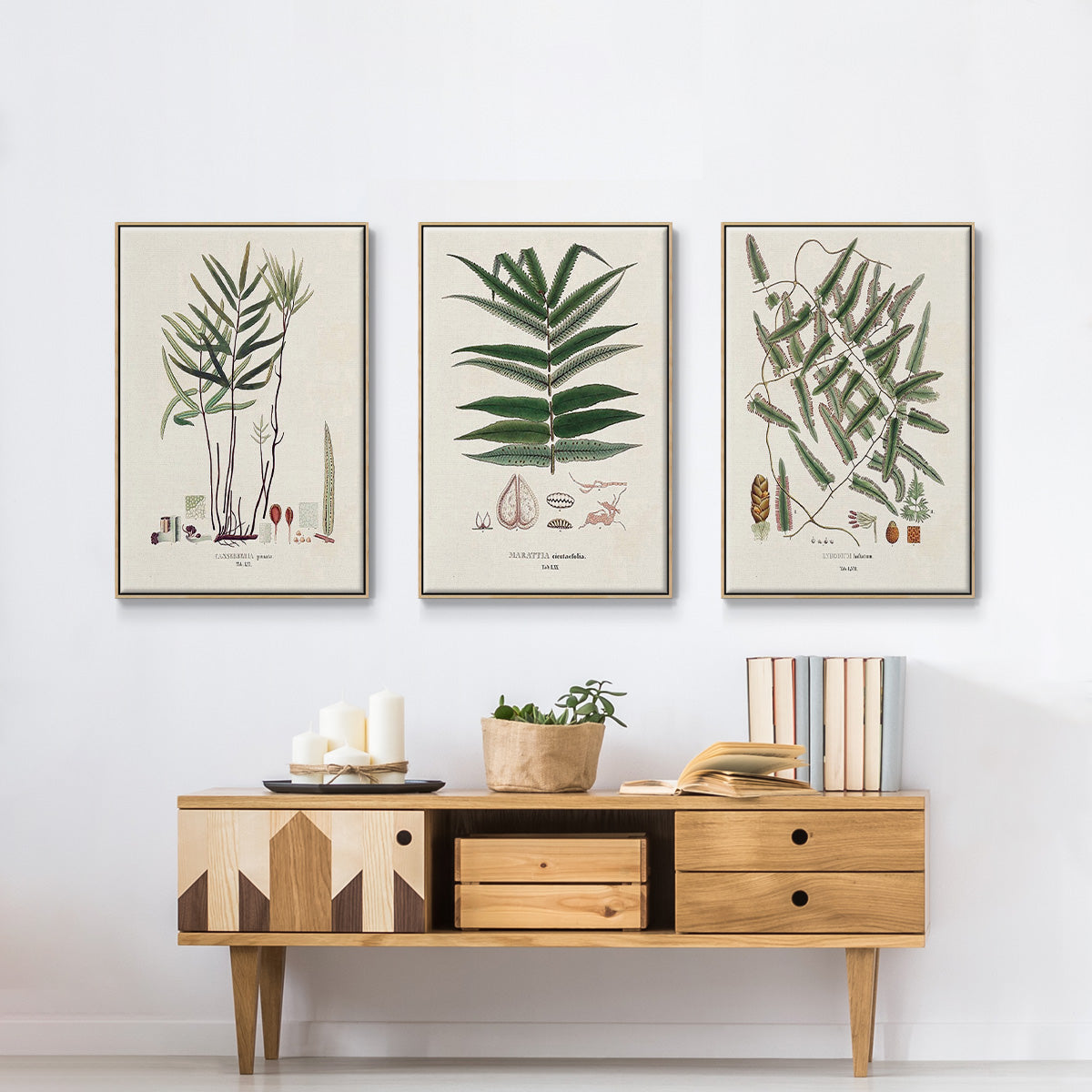 Botanical Society Ferns X - Framed Premium Gallery Wrapped Canvas L Frame 3 Piece Set - Ready to Hang