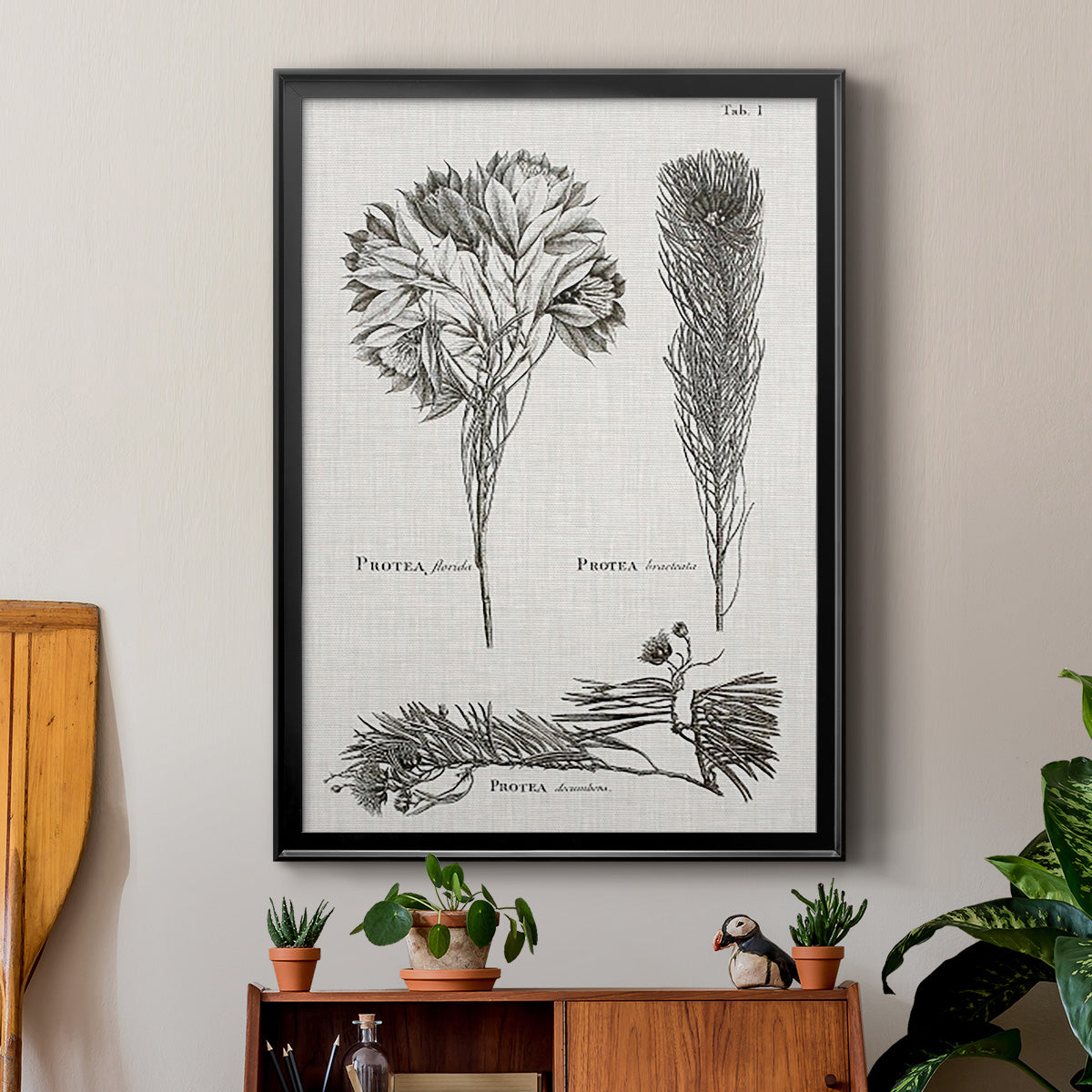 Black & White Protea on Linen I - Modern Framed Canvas Print