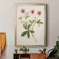 Flowers of the Seasons VIII - Modern Framed Canvas Print