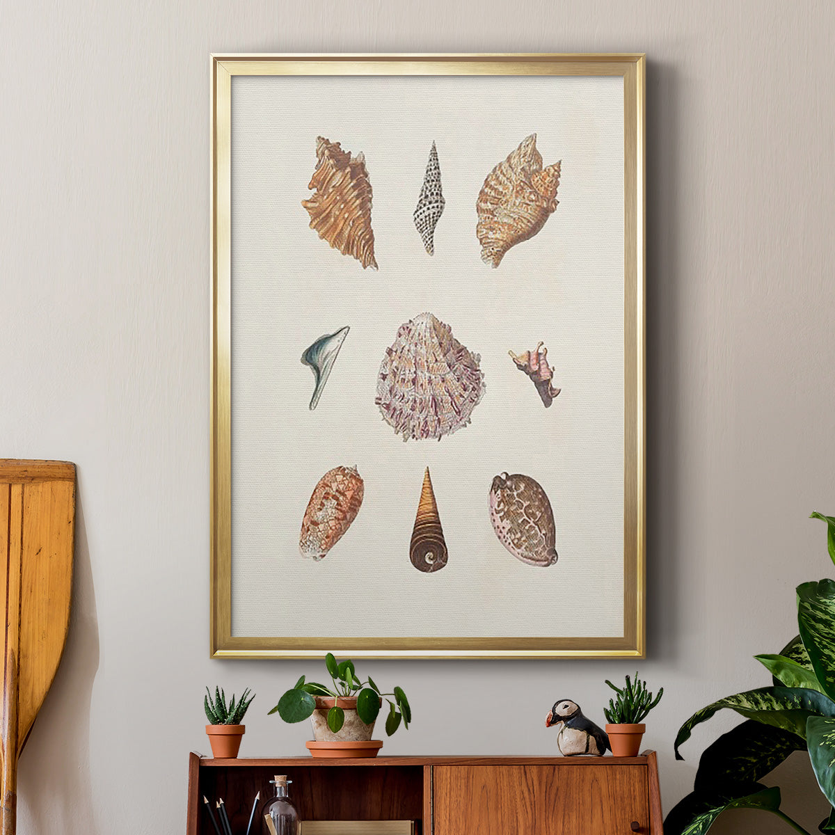 Knorr Shells & Coral VI - Modern Framed Canvas Print