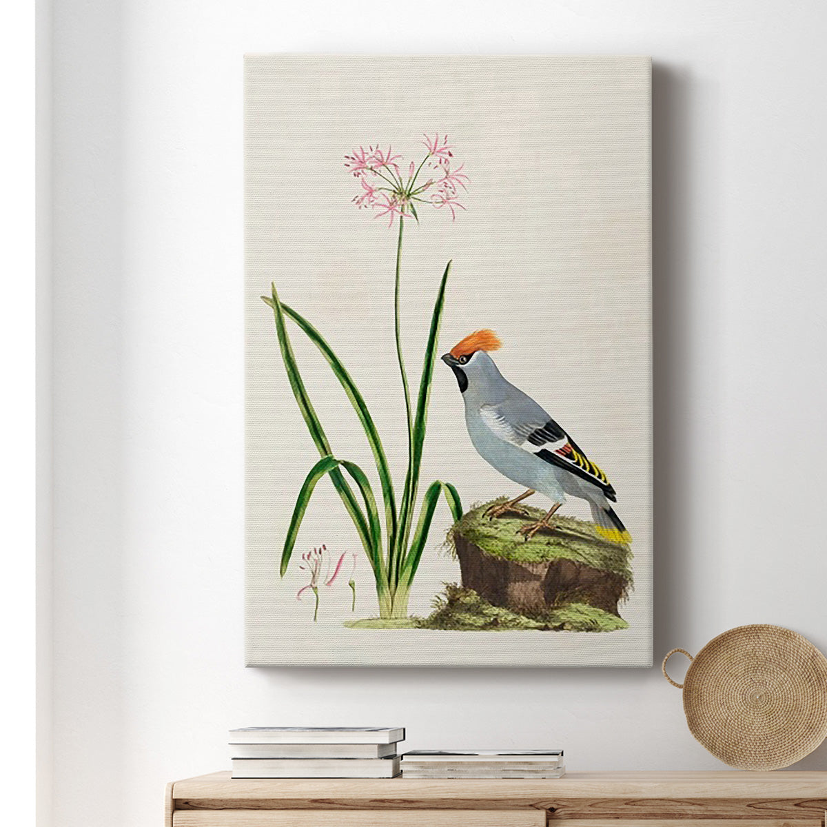 Amaryllis, Lily, and Waxwing, 1796 - Canvas Art Print