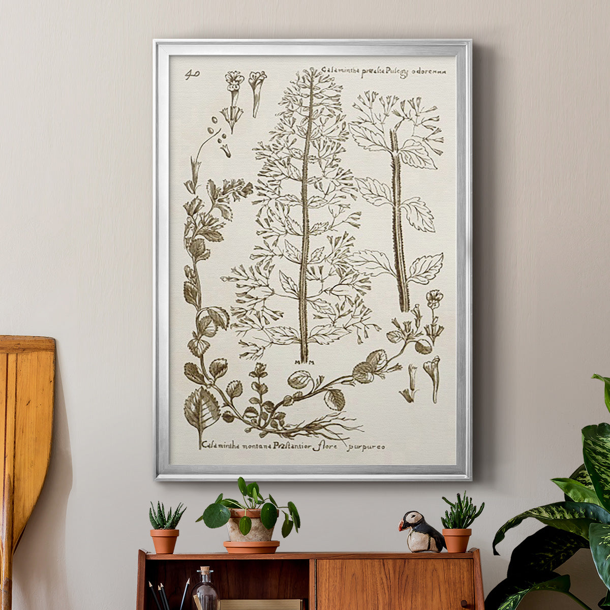 Sepia Botanical Journal V - Modern Framed Canvas Print