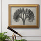 Vintage botanical plant study photograph by Karl Blossfeldt in an ornate antique gold frame displayed in a light-toned interior setting.