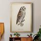 French Owls III - Modern Framed Canvas Print