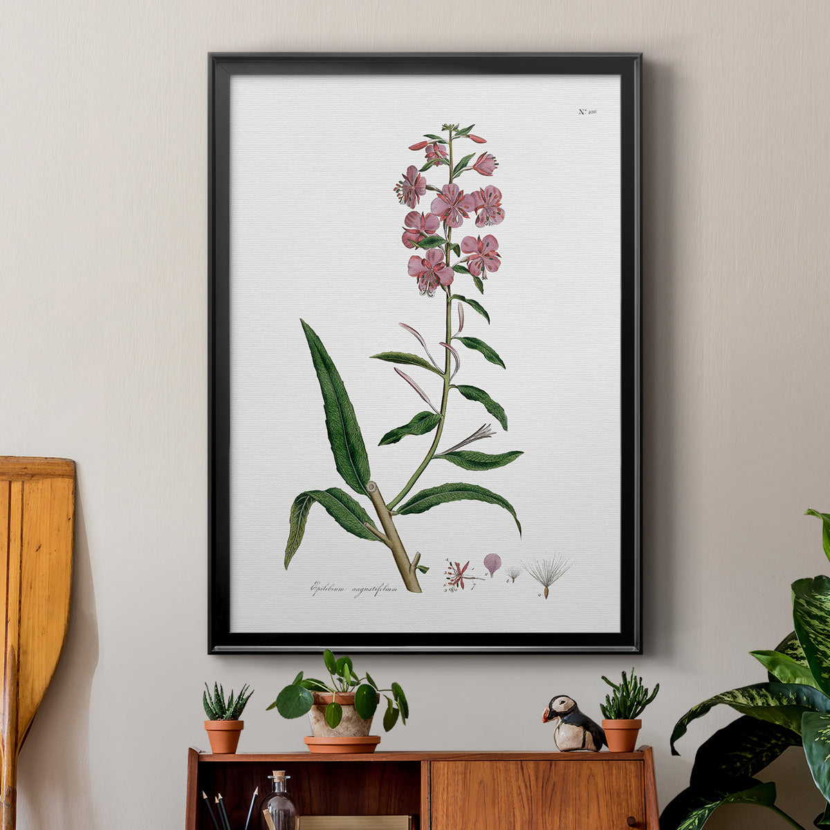 Rose Botanical I - Modern Framed Canvas Print