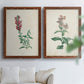 Set of two maple barnwood framed canvas prints depicting a traditional botanical print pair with delicate blossoms leafy stems and scientific plate details above a sofa in a bright living space.