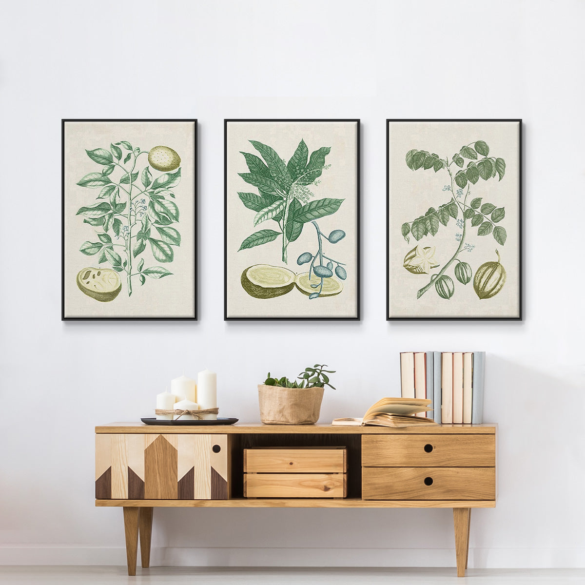 Buchoz Tropicals II - Floater Framed Canvas Set