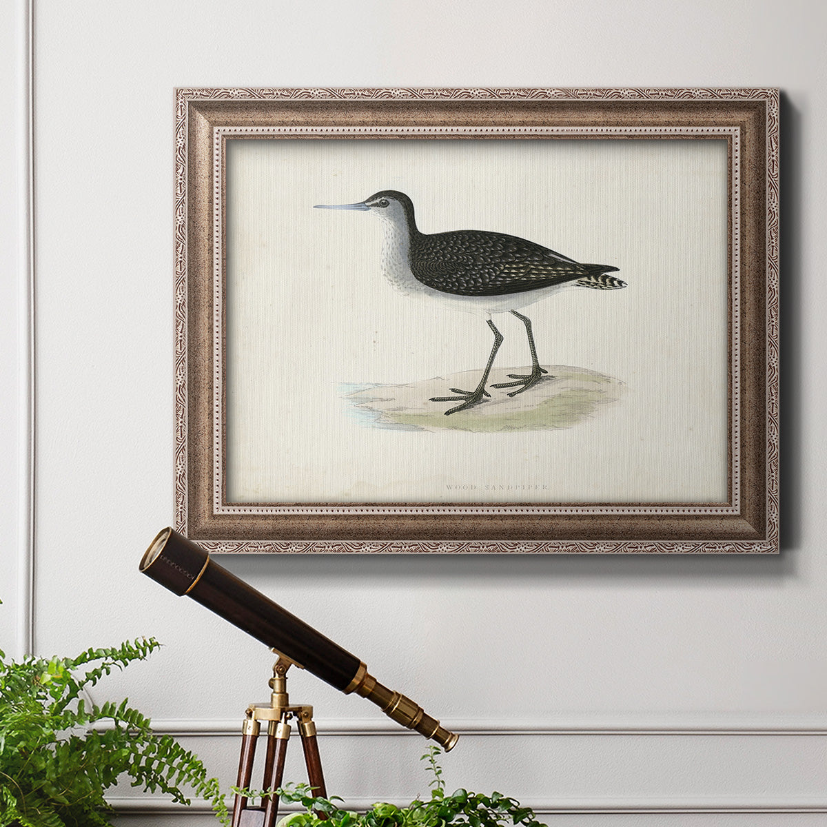 Morris Sandpipers VIII Premium Framed Canvas- Ready to Hang