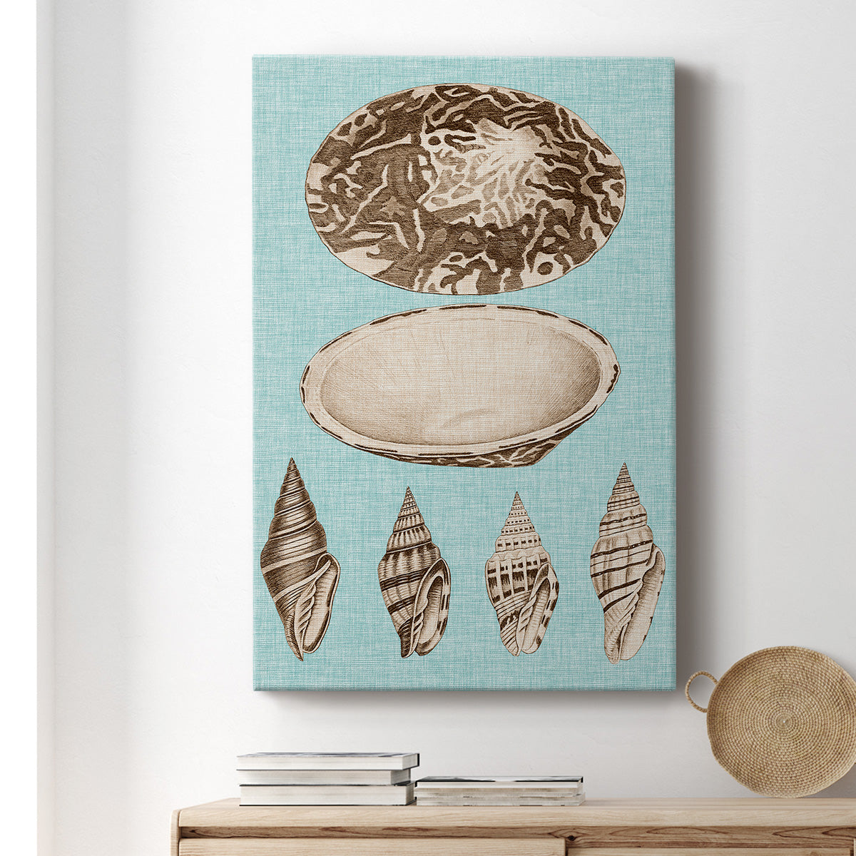 Sepia & Aqua Shells III - Canvas Art Print